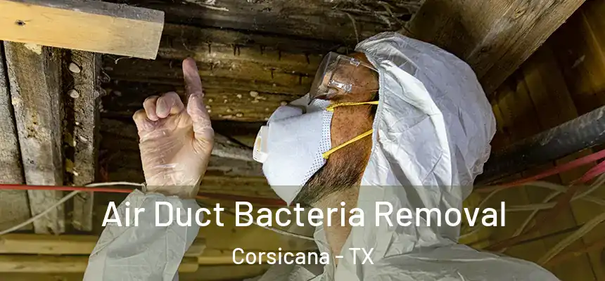  Air Duct Bacteria Removal Corsicana - TX