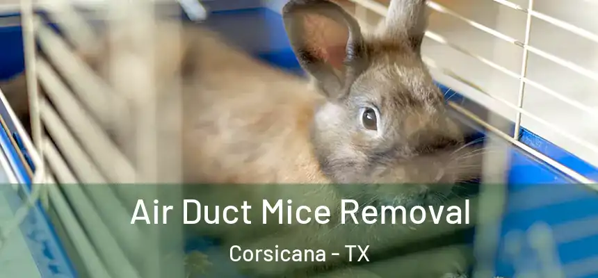  Air Duct Mice Removal Corsicana - TX
