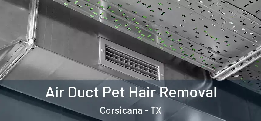 Air Duct Pet Hair Removal Corsicana - TX
