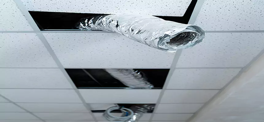 Our Air Duct Pet Hair Removal Services in Corsicana, TX