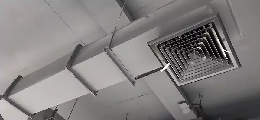 Our Pest Removal From Ducts Services in Corsicana, TX