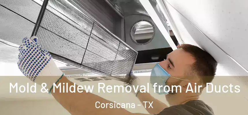 Mold & Mildew Removal from Air Ducts Corsicana - TX