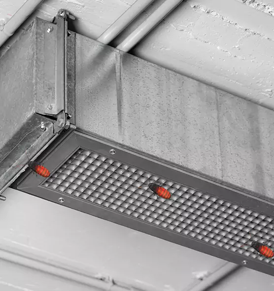 Affordable Insect Removal from Air Ducts in Corsicana, TX