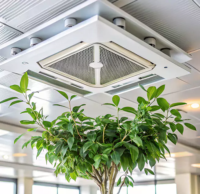 Why Homeowners & Businesses Trust Us in Corsicana, TX?